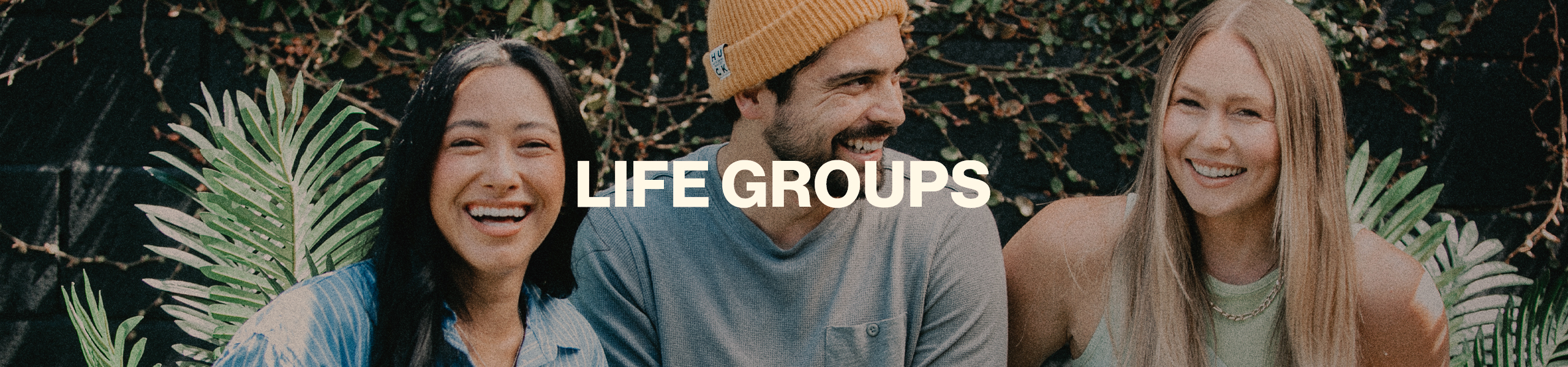 LifeGroupsWeb
