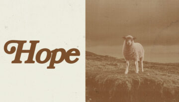 Hope-Screen-2