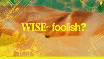 WiseOrFoolish_Screen