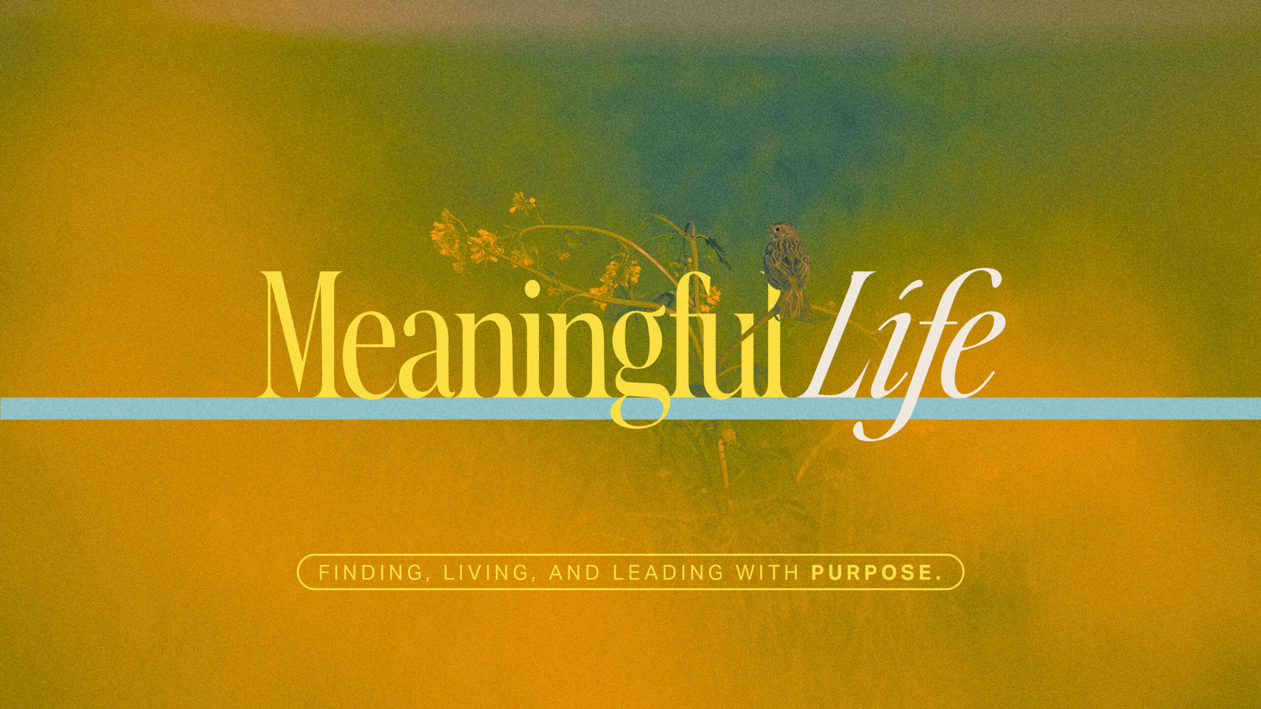 MeaningfulLife_Screen